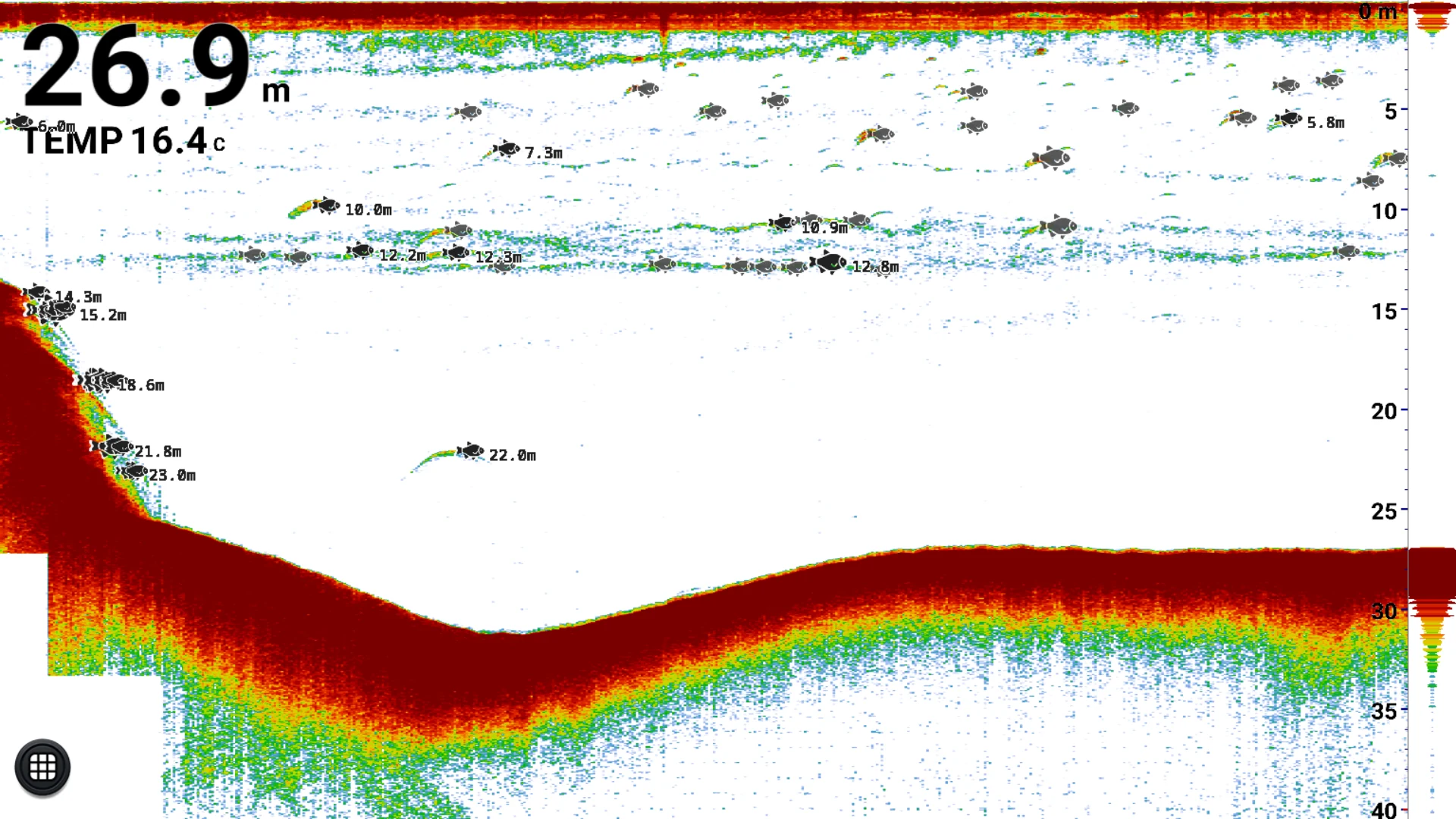 Fish detection — individual targets marked with icons and depths